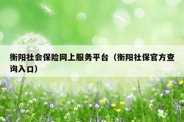 衡阳社会保险网上服务平台（衡阳社保官方查询入口）